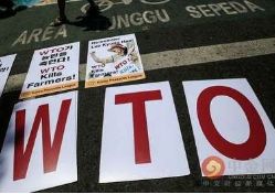 WTO�c�Q(m��o)�����P(gu��n)��֪�R�a(ch��n)��(qu��n)�f(xi��)����IV��